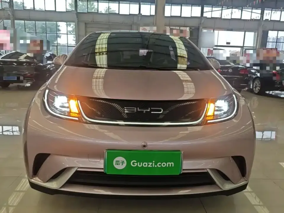 BYD Dolphin
