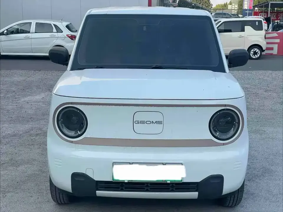 Galaxy Panda