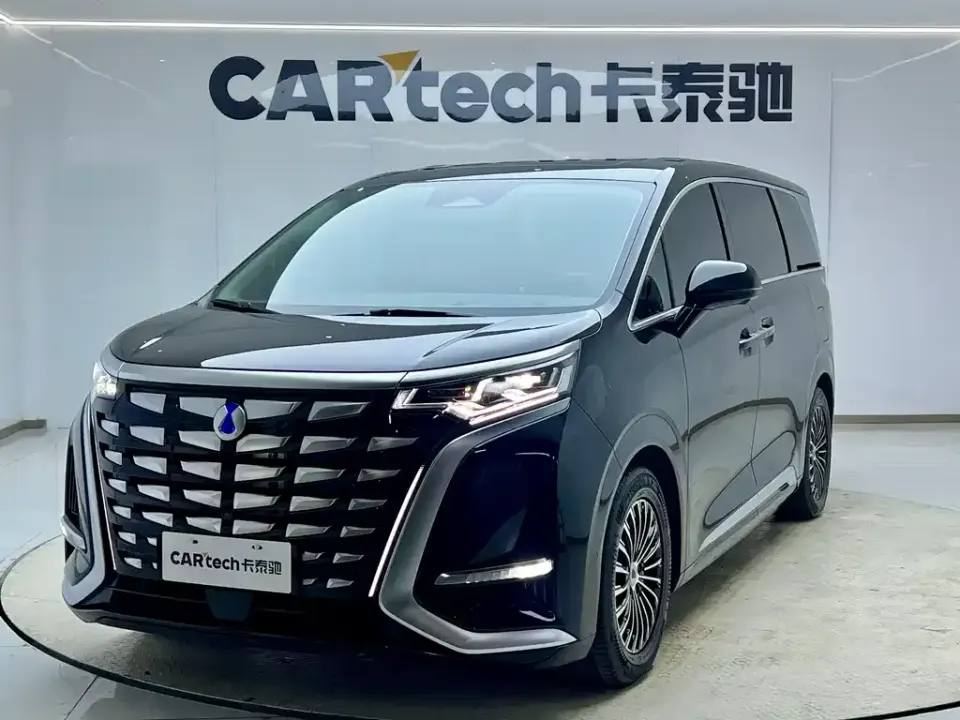 Denza Denza D9