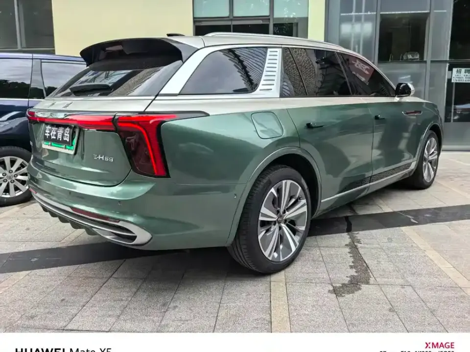 Hongqi Hongqi E-HS9