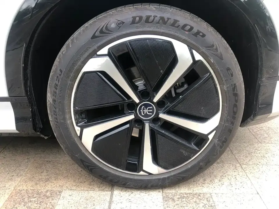 BYD L EV