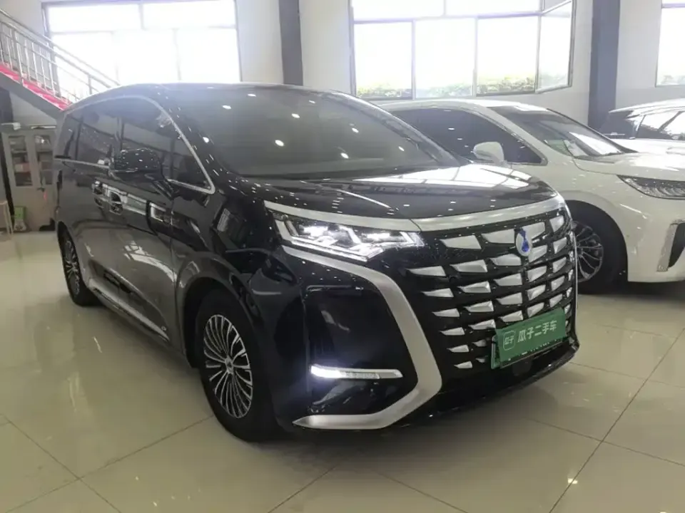 Denza Denza D9