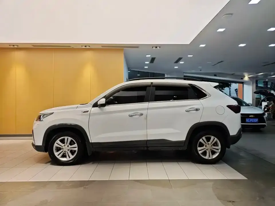 Huasu Huansu S5