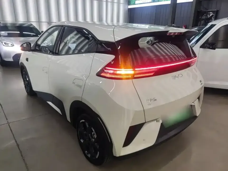 BYD Seagull