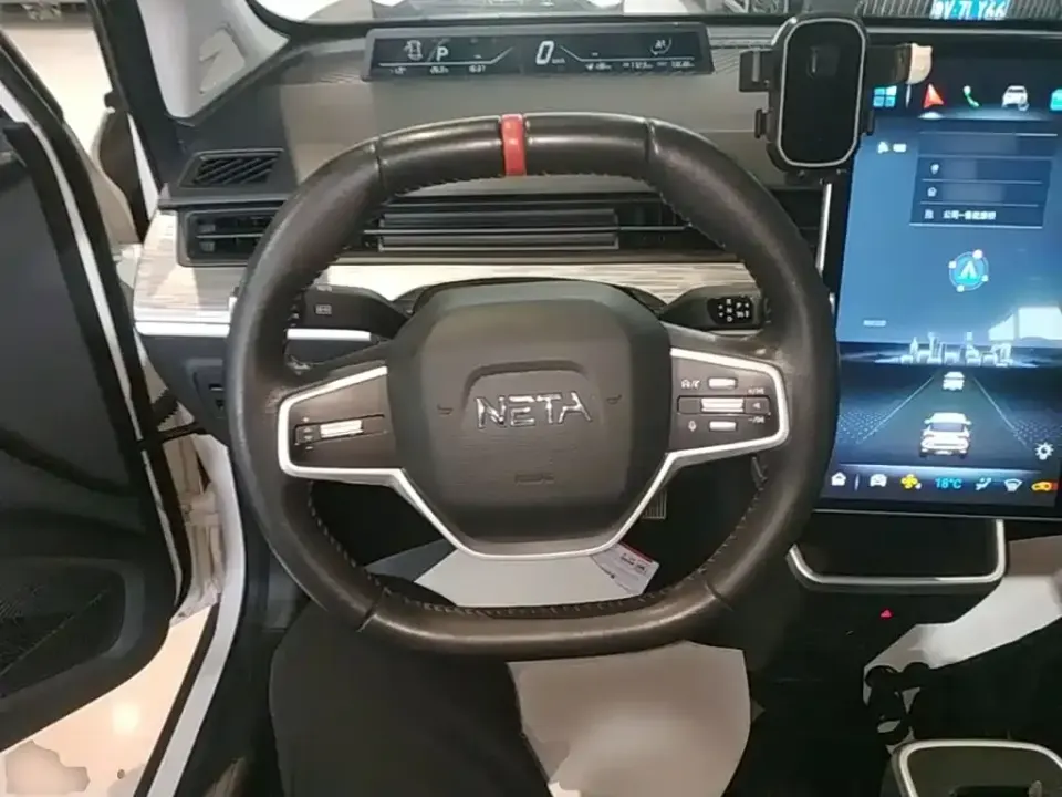 Neta Neta V