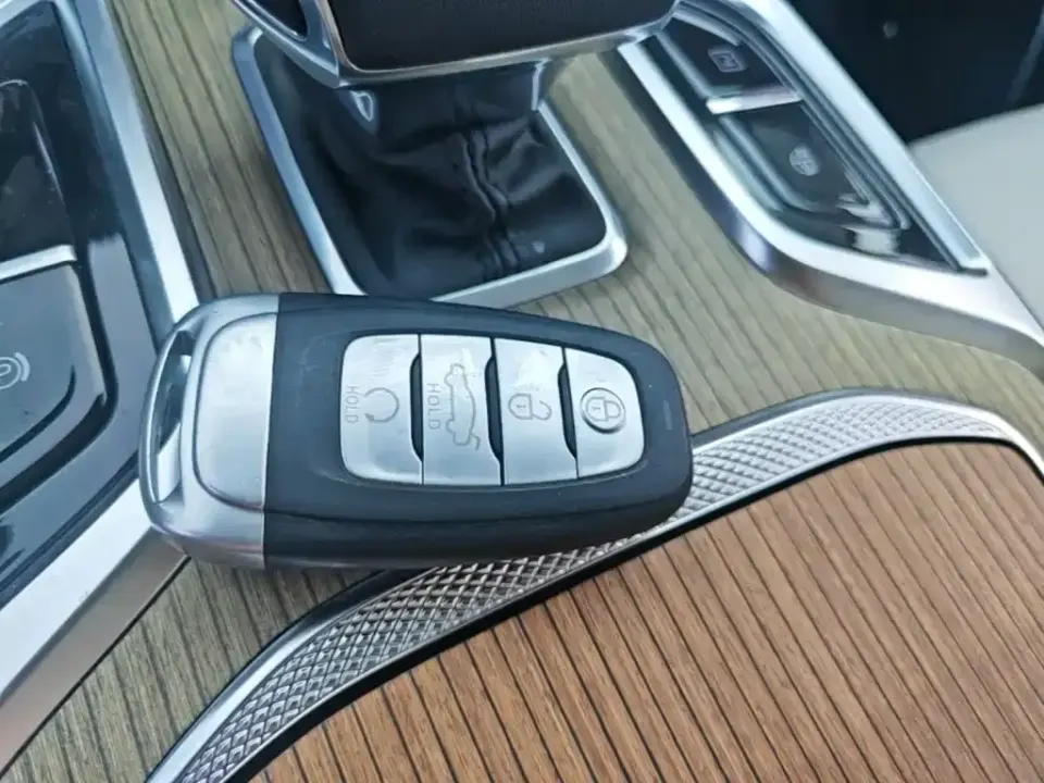 Hongqi Hongqi E-HS9