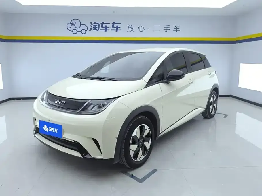 BYD Dolphin