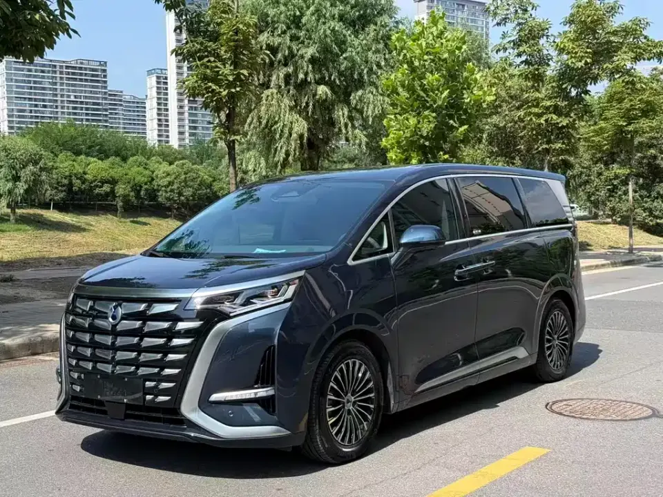 Denza Denza D9