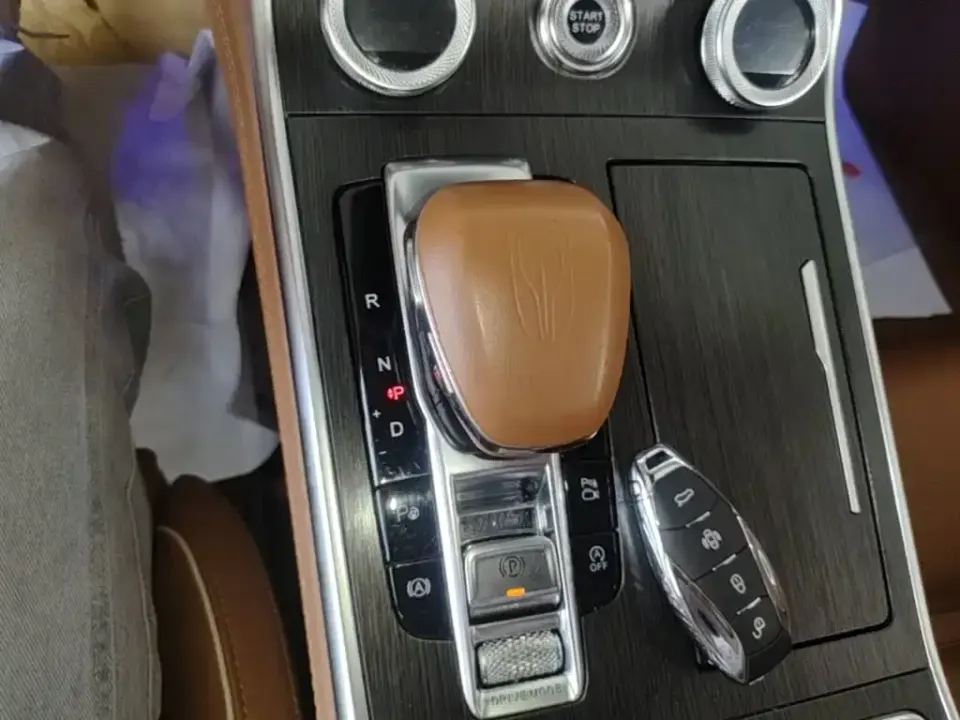 Hongqi Hongqi H9