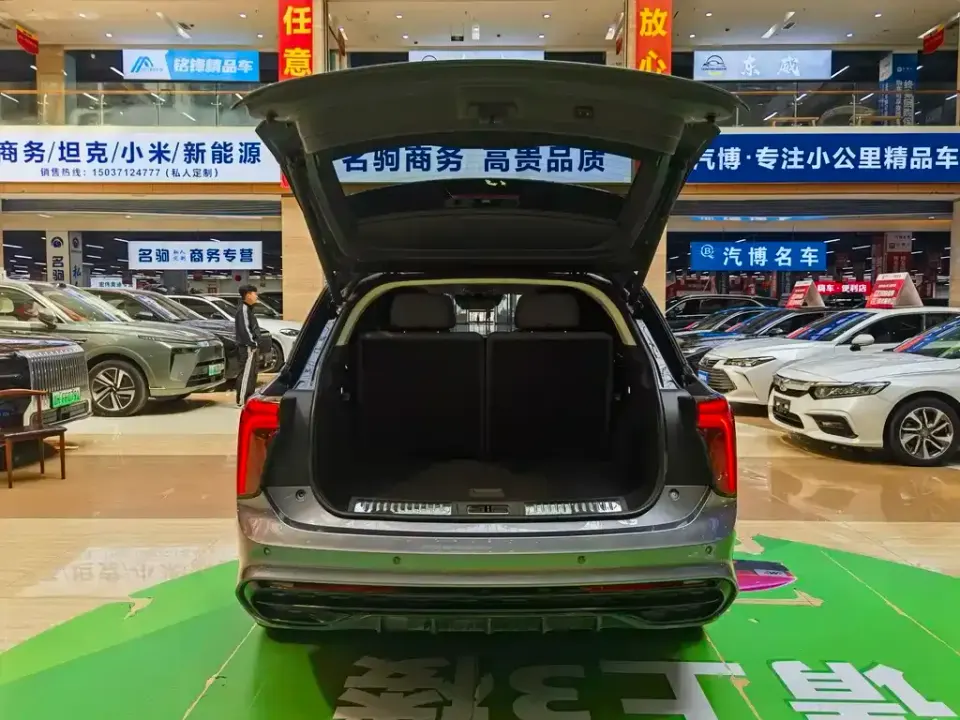 Hongqi Hongqi E-HS9