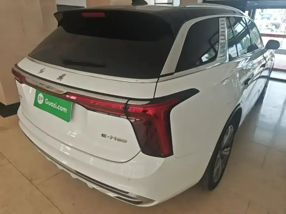 Hongqi Hongqi E-HS9