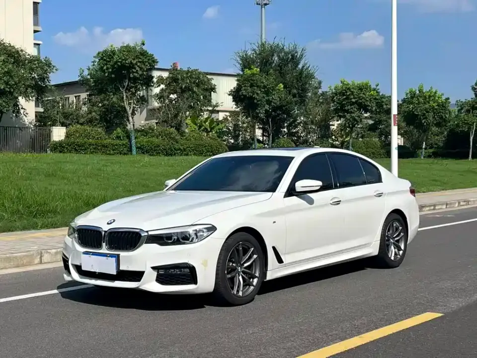 BMW 5 Series (Import)