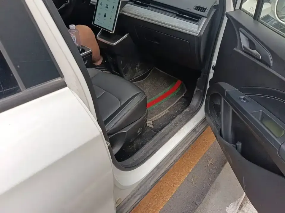 Neta Neta V