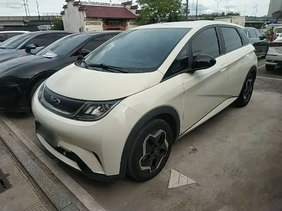 BYD Dolphin