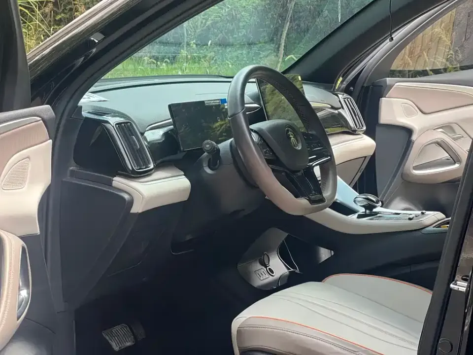 BYD Pro New Energy