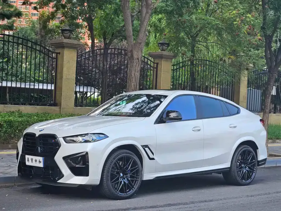 BMW X6 M