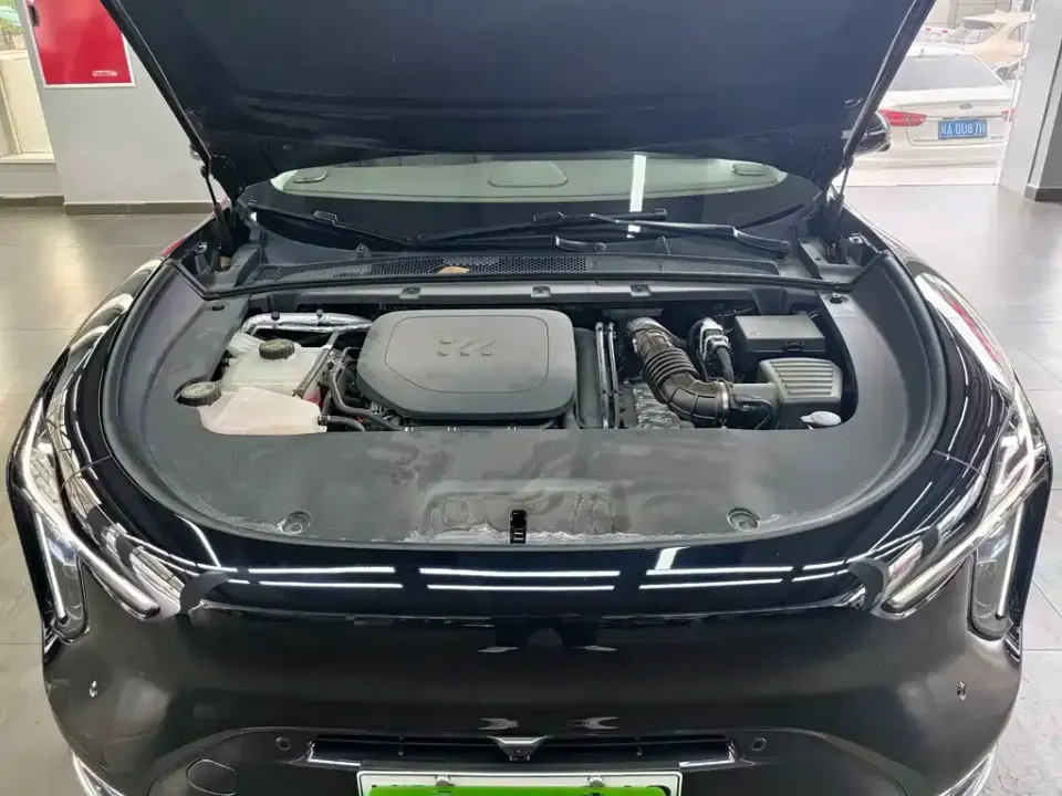 IM Motors IM LS6