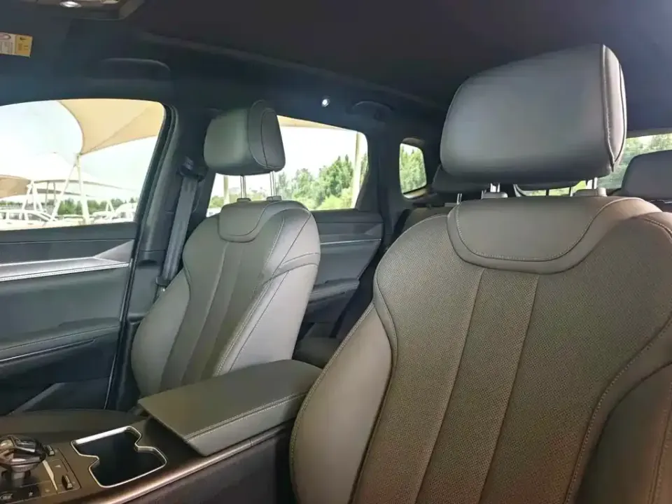BYD Pro New Energy