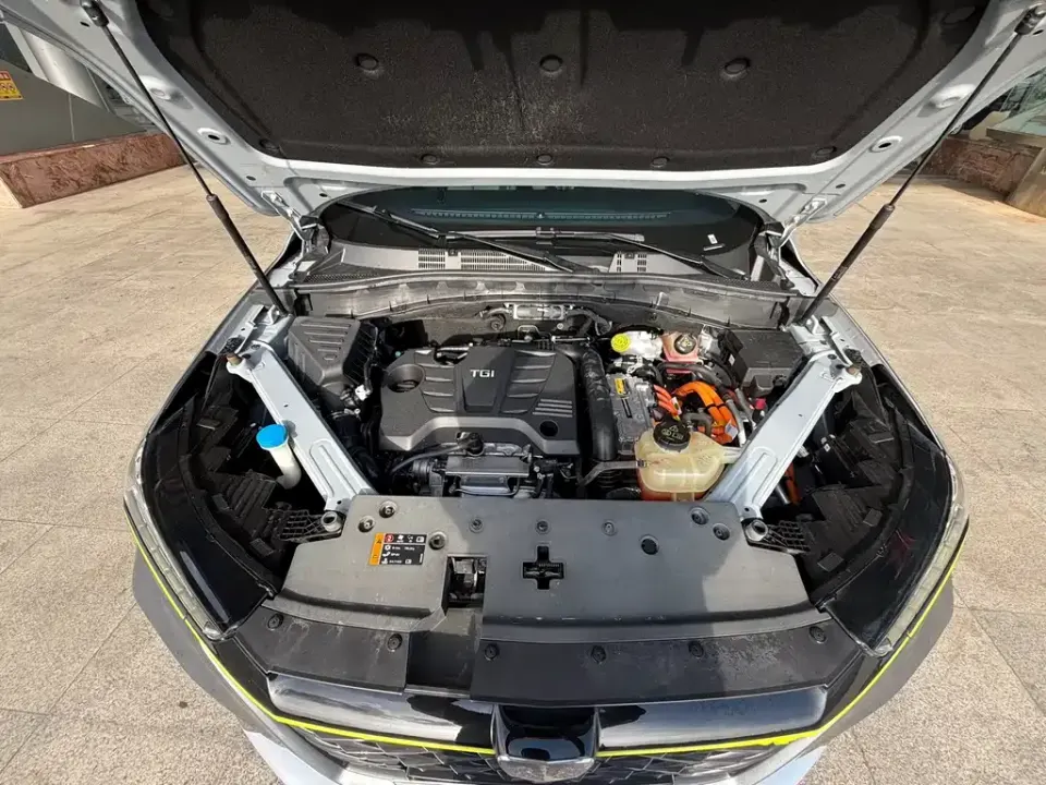 Roewe RX5 New Energy