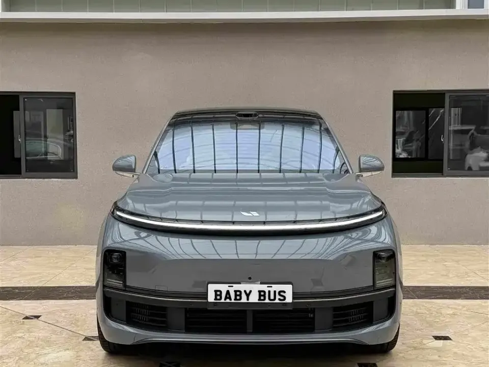 Li Li L8