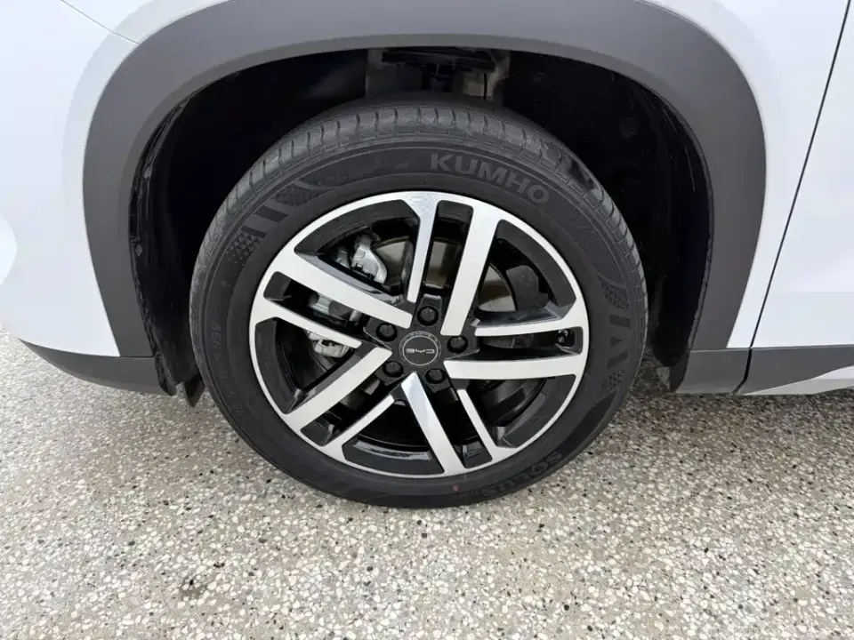 BYD L DM-i