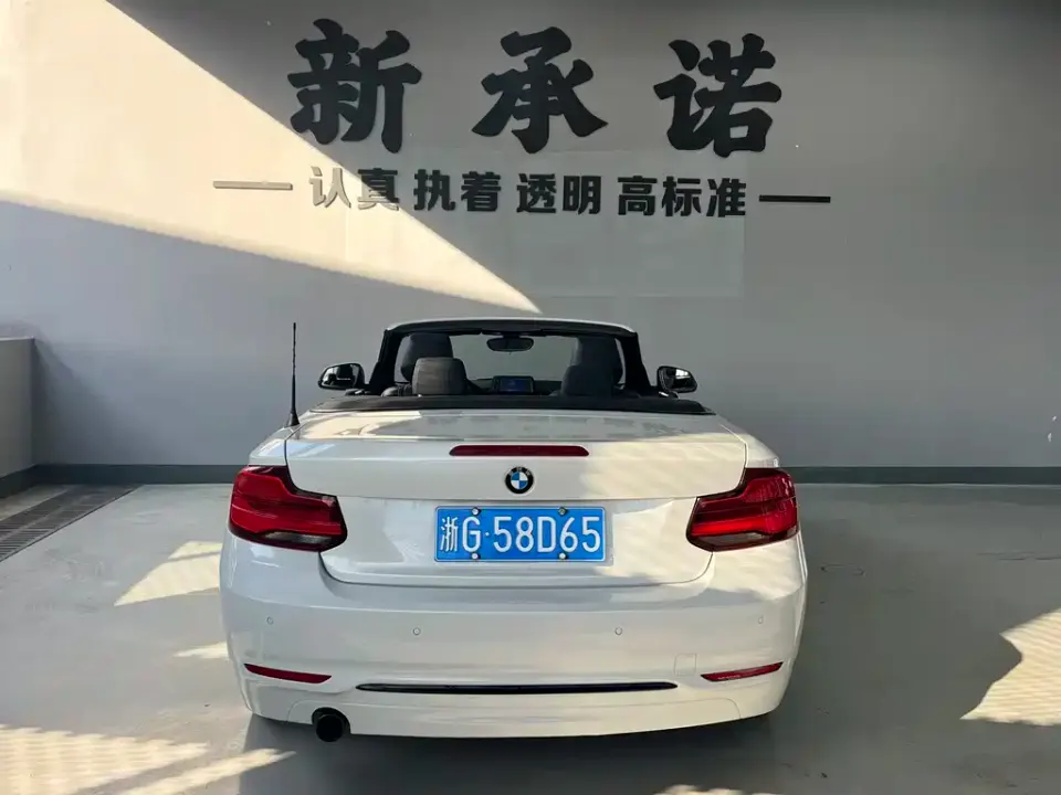 BMW 2 Series (Import)