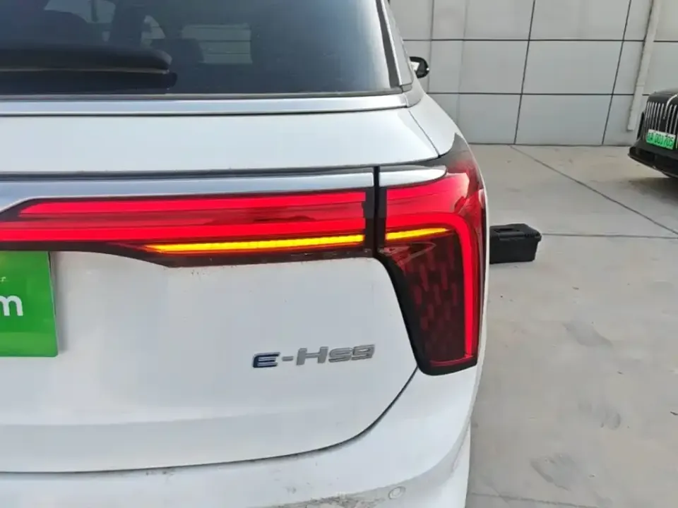 Hongqi Hongqi E-HS9