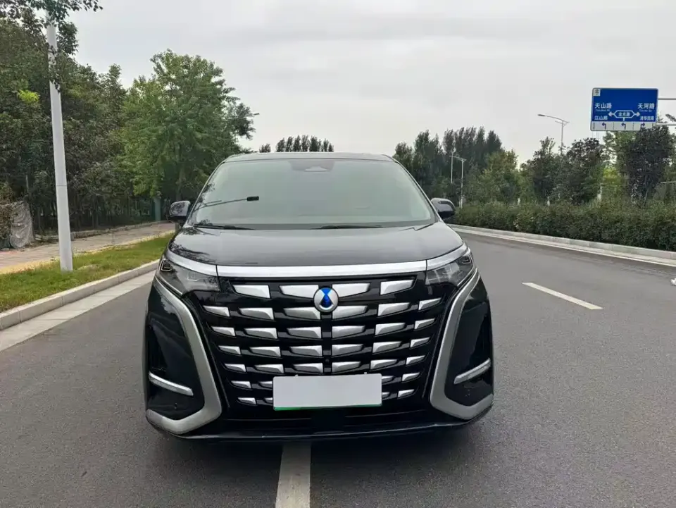Denza Denza D9