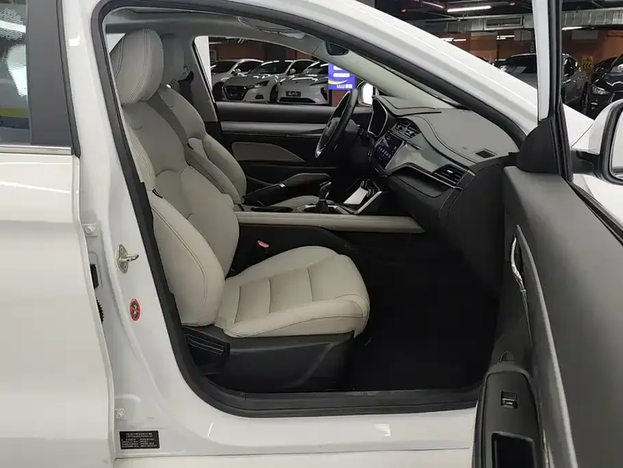 Geely Binrui