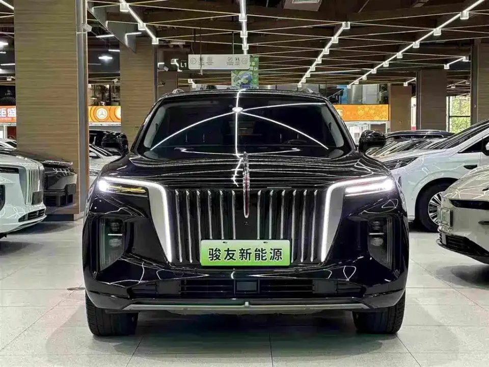 Hongqi Hongqi E-HS9