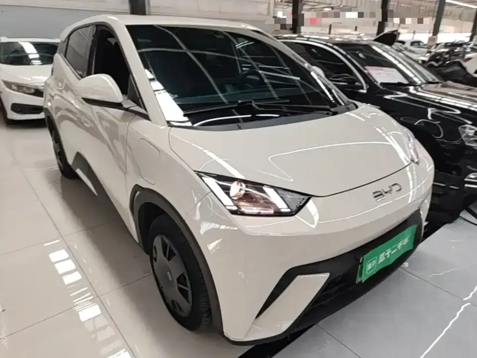 BYD Seagull