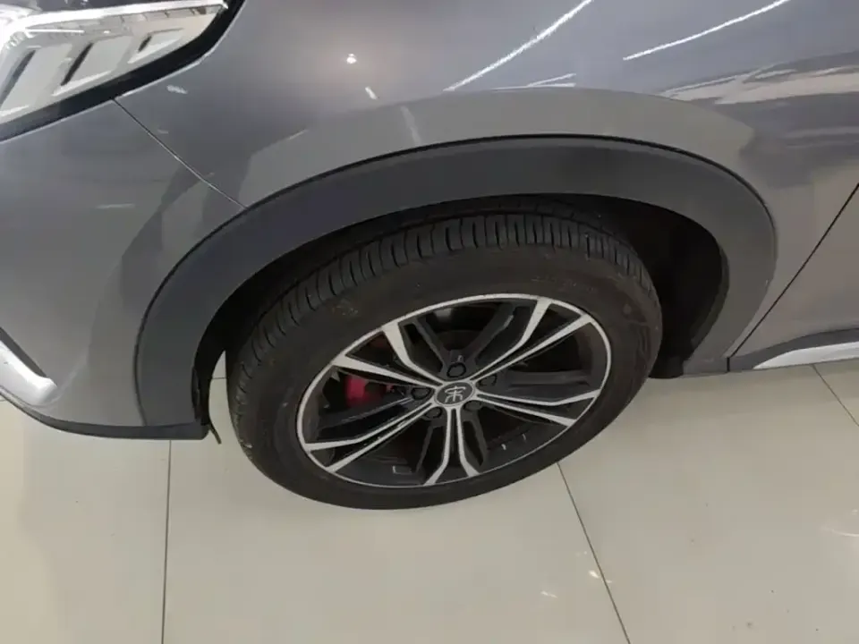 BYD PLUS
