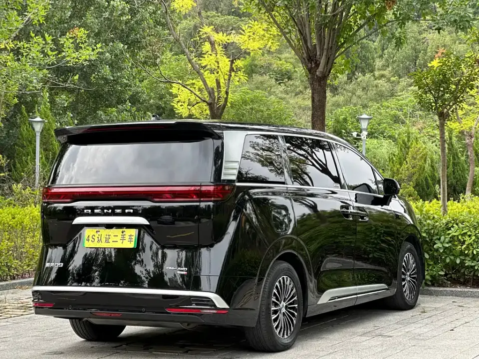 Denza Denza D9