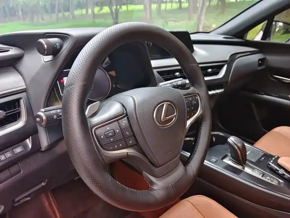 Lexus UX New Energy