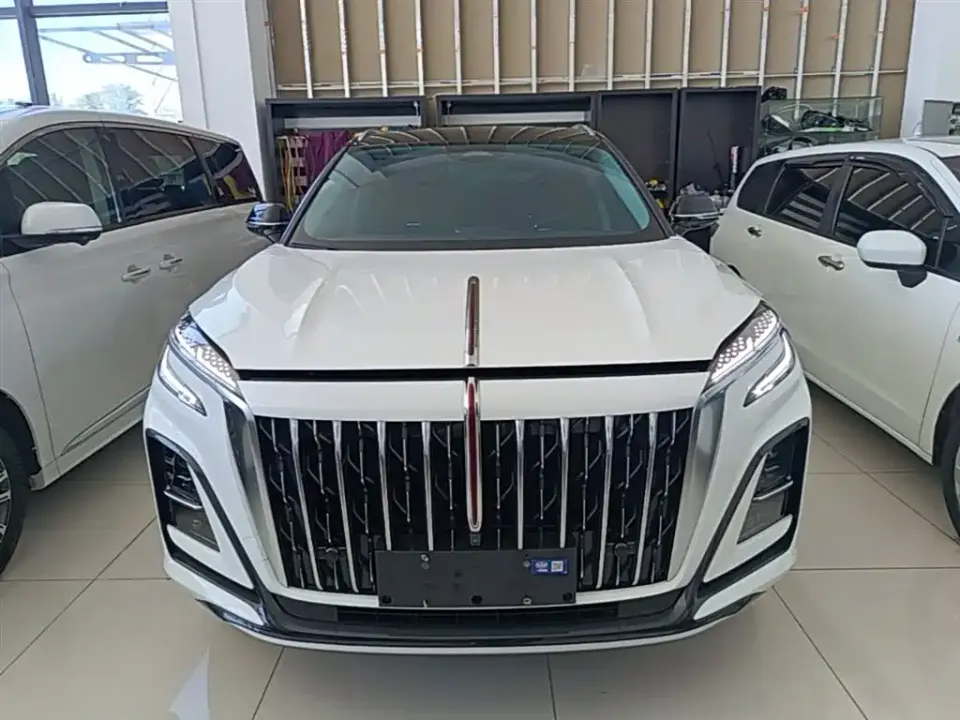 Hongqi Hongqi HS3