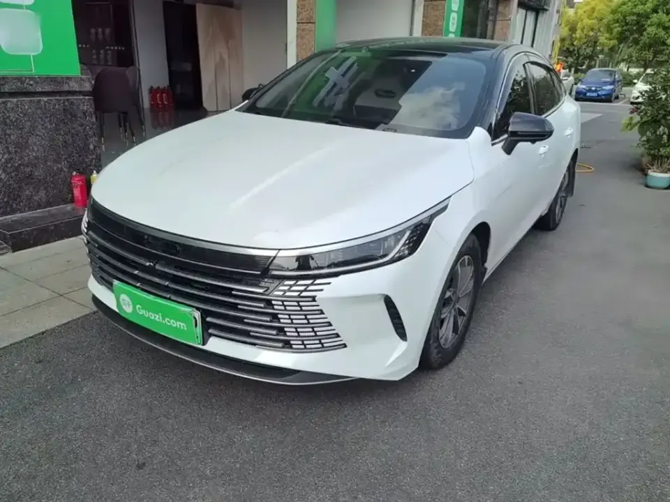 BYD Destroyer 05