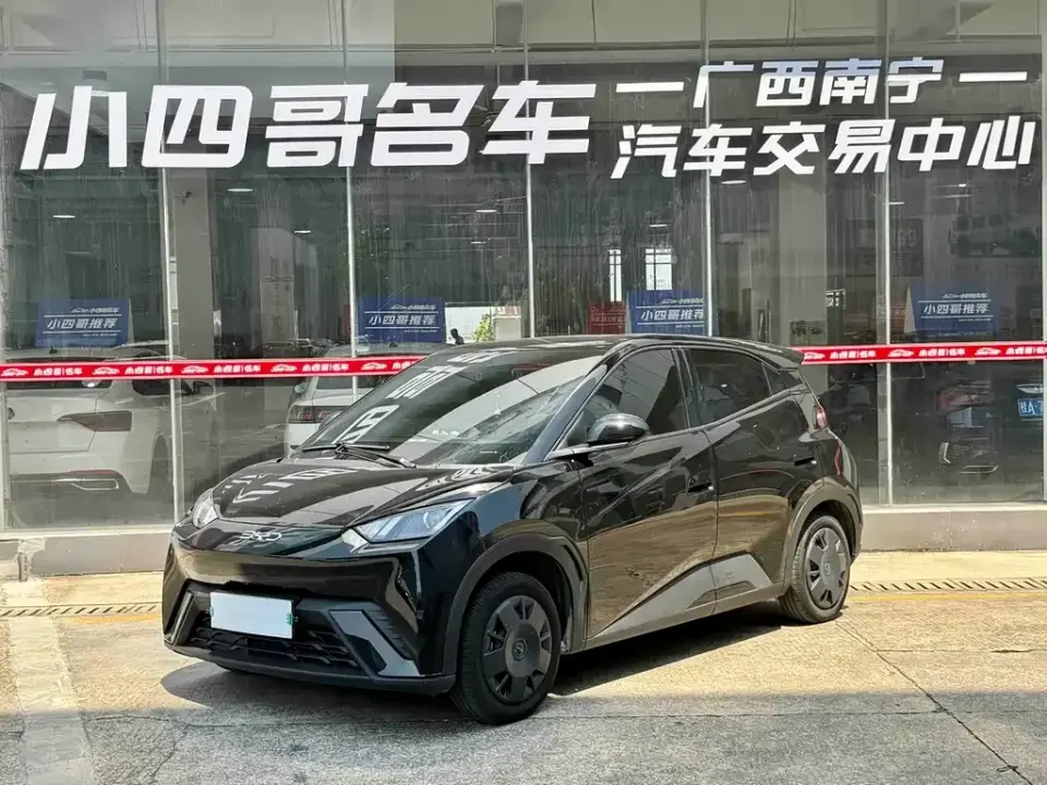 BYD Seagull