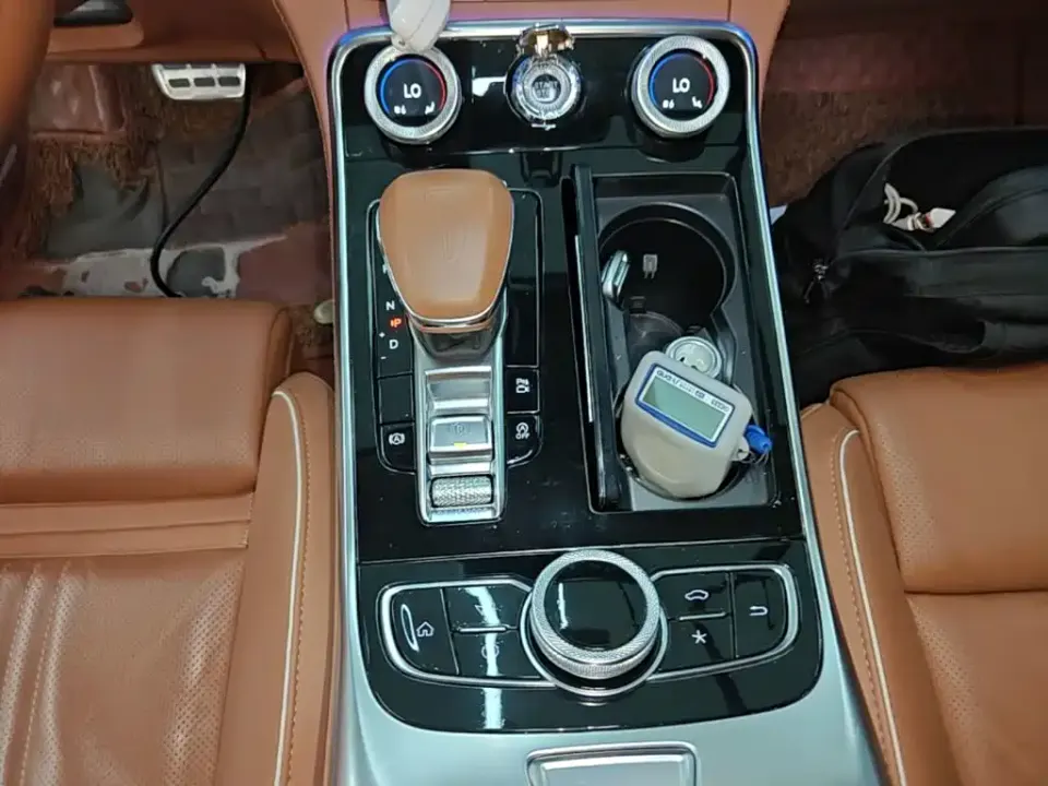 Hongqi Hongqi H9