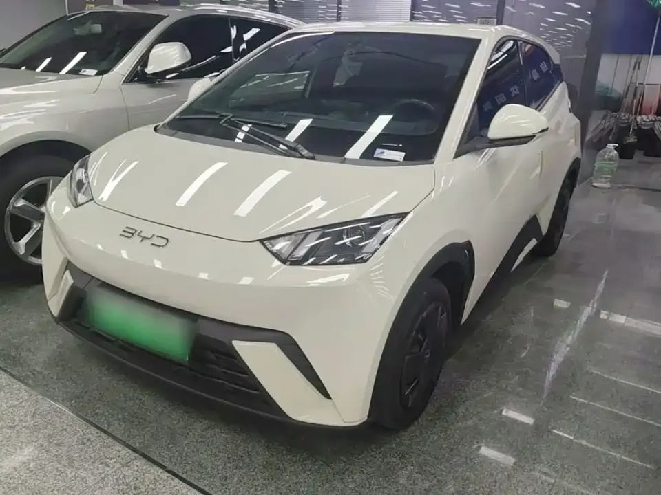 BYD Seagull