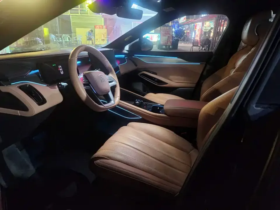 BYD L EV