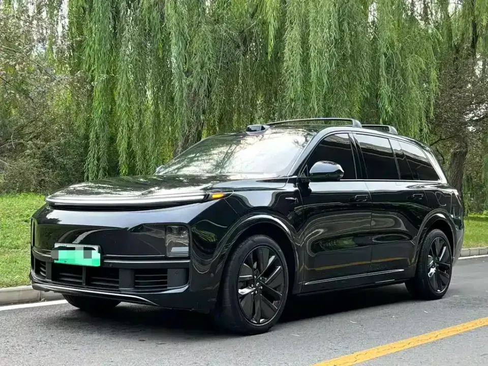 Li Li L9