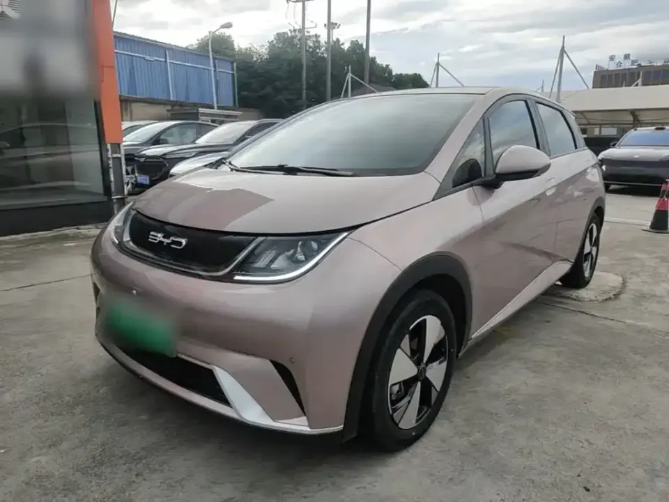 BYD Dolphin