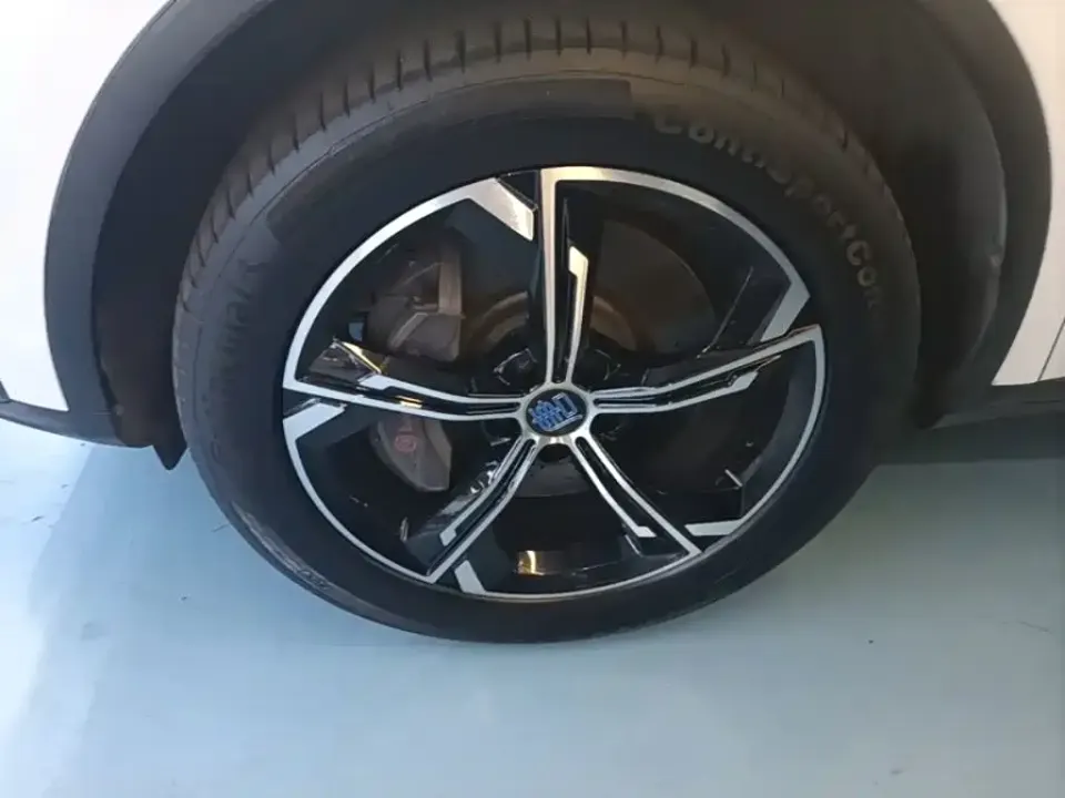 BYD Tang New Energy