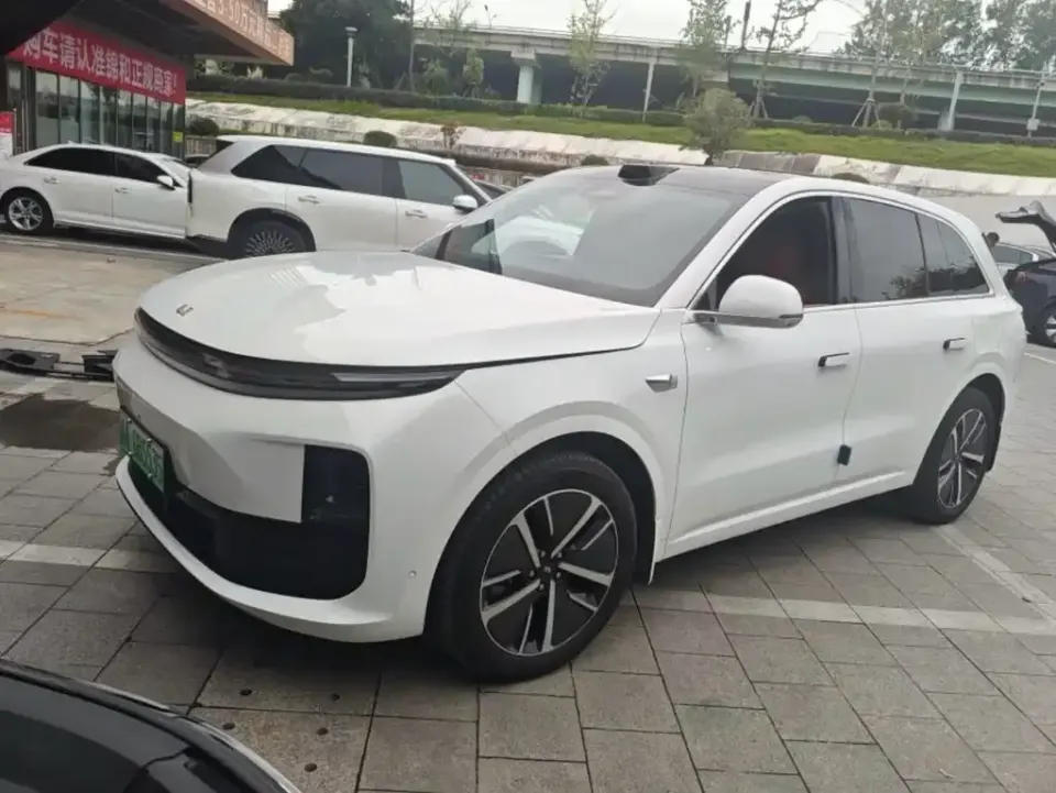Li Li L6