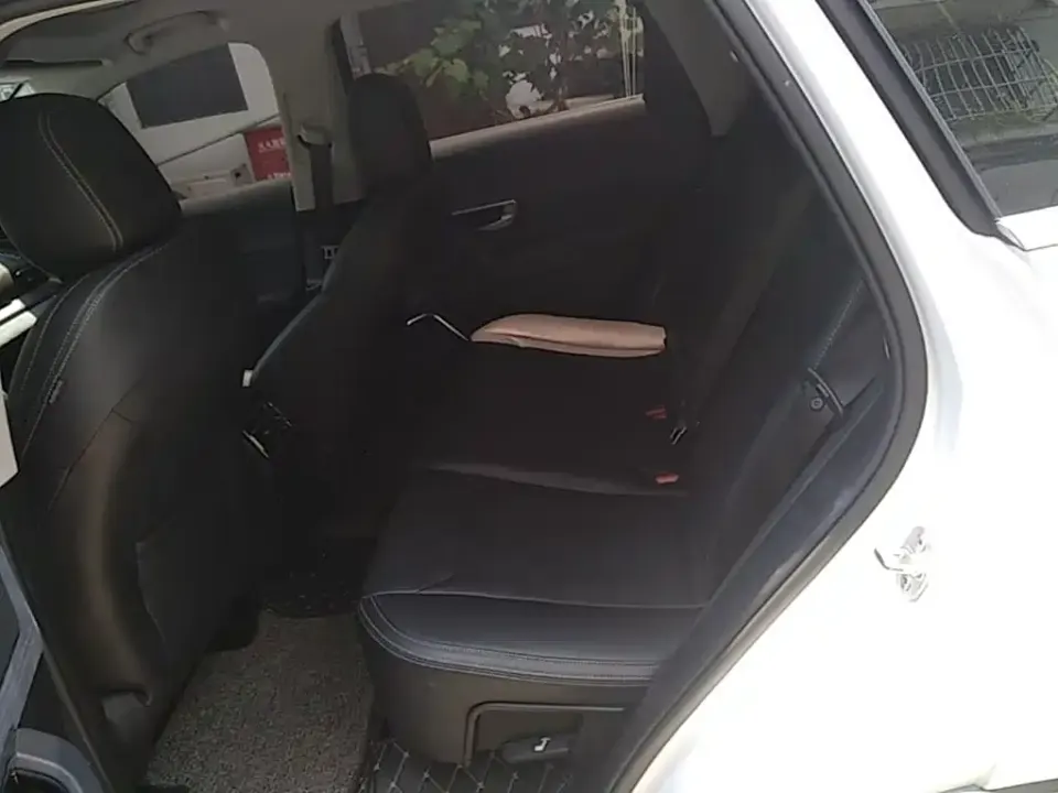 BYD Pro New Energy