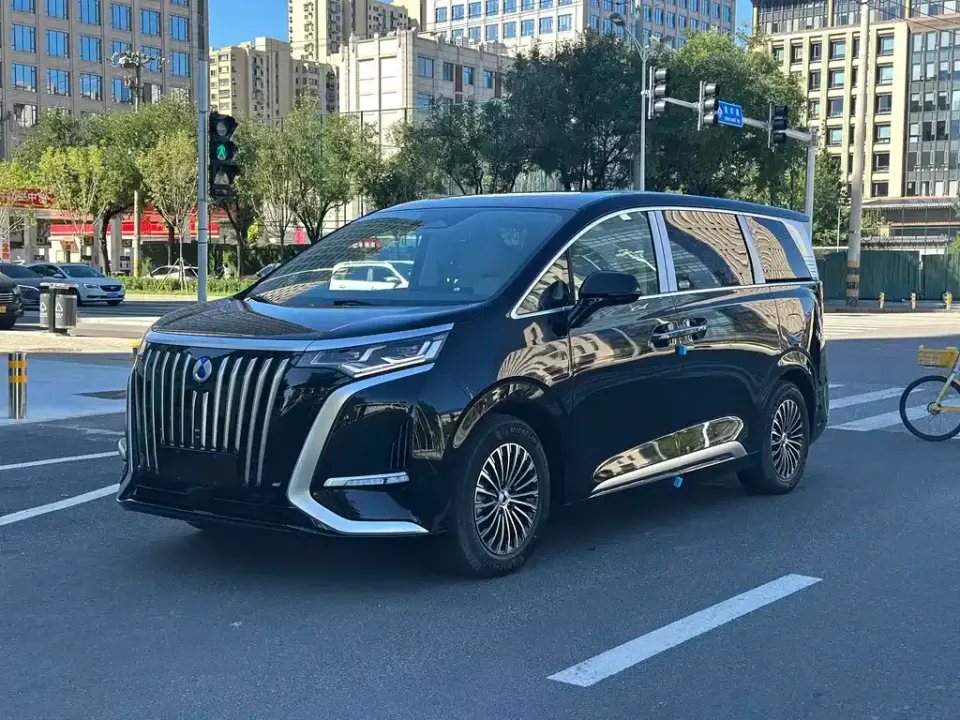 Denza Denza D9