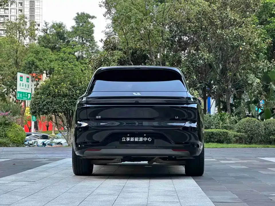 Li Li L6