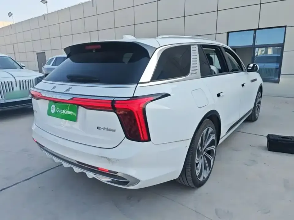 Hongqi Hongqi E-HS9