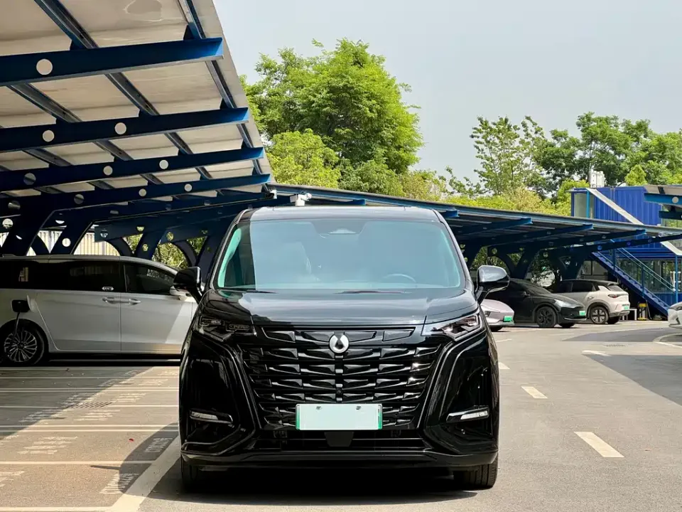 Denza Denza D9