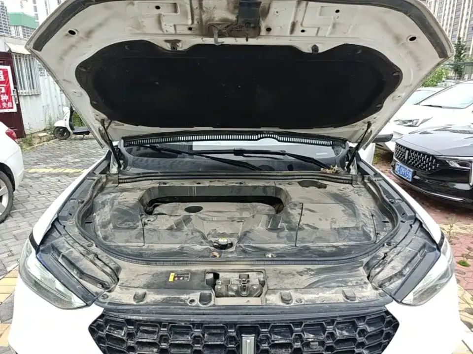 WEY Wey VV6